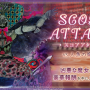 sa2.png